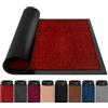 BLADO Zerbino per interni ed esterni, resistente, antiscivolo, lavabile, con retro in gomma, tappetino super assorbente, per casa, ufficio (60 x 120 cm, rosso)