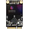 GAMERKING SSD msata 512GB Ngff unit?a stato solido interna 1TB 256 GB 128 GB 64GB per laptop desktop SATA III 6 Gb/s disco rigido ad alte prestazioni (512GB, MSATA)