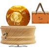 MJKOPEE Carillon con Sfera di Cristallo 3D con Dente di Leone, Carillon in Legno Rotante a 360°,Carillon Legno con Luce Regalo Bambini,Donne per Natale Compleanno San Valentino