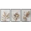 Linilioart Set di 3 Stampe su Tela Floreali Botaniche Beige Neutre, Quadri Astratti Floreali Moderni a Trama Semplice, Immagini di Piante per Soggiorno, Senza Cornice (40x50cm)