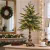 Generic Vintage Lighted Norfolk Pine Tree,Tabletop Christmas Decor with LED Light | Pre-Lit Artificial Norfolk Pine Small Christmas Tree,Warm White LED Glow,Cascading Evergreen Branches,Antique-Bronze Pedestal