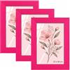 Velora Home&Living VELORA H&L H&L Set da 3 Cornici Foto Rosa 13 x 18 cm - Cornice in Legno con Plexiglass Trasparente, Portafoto da Parete, Cornice per Poster, Fotografie, Puzzle, Diplomi e Certificati