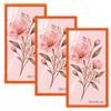 Velora Home&Living VELORA H&L H&L Set da 3 Cornici Foto Arancione 50 x 100 cm - Cornice in Legno con Plexiglass Trasparente, Portafoto da Parete, Cornice per Poster, Fotografie, Puzzle, Diplomi e Certificati
