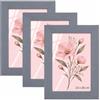 Velora Home&Living VELORA H&L H&L Set da 3 Cornici Foto Grigio 13 x 18 cm - Cornice in Legno con Plexiglass Trasparente, Portafoto da Parete, Cornice per Poster, Fotografie, Puzzle, Diplomi e Certificati