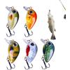 Generic Esche da pesca per spigola, 5 pezzi artificiali a dondolo Crankbait | Esche artificiali da pesca per acqua salata, campeggio, laghetto, kayak, lancio, trota, pesce gatto, crappie