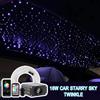 16W Twinkle Starry Sky Car Star Light Tetto per auto Luce in fibra ottica Plafoniera Decorazioni per la casa per auto Kit 600 stelle