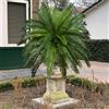 Kmitang Piante di palma artificiali da 45 cm, finto cocottero, foglie tropicali persiane, albero di cicada in plastica, foglie di cocco finte per decorazioni casa e giardino