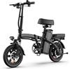 URLIFE Bicicletta Elettrica URLIFE F1L Edizione Premium per Adulti, Motore 250W, Modello Pieghevole Avanzato, 48V 7.5AH, Essenziale per il Pendolarismo, Pneumatici da 14 Pollici