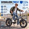 NONE WINGLION FM2.0 E-bicicletta pieghevole per cittadini, motore da 750 W, batteria rimovibile da 48 V 15 Ah, ruote spesse 20"x4,0", sospensione completa, freni idraulici, bicicletta elettrica per adulti