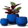 LE TAUCI Set Di 3 Vaso Per Piante In Ceramica, 10+13+16 cm Vaso per Piante da Interno Con Foro Di Drenaggio E Piattino, Vaso Da Fiori Per Interni Con Foro In Rete, Regalo Per Mamma, Blu Zaffiro