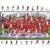 OEM Puzzle in legno Liverpool Campioni 24/25, 270 pezzi, taglia M