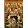 Lauren Oliver The Magnificent Monsters of Cedar Street (Tascabile)