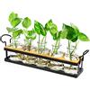THYGIFTREE Decorativo Di Vasi Vetro e Legno Per Fiori Piccoli con supporto in metallo,Hyindoor Vaso a Bulbo Vetro Idroponica Cornice for Utilizzato Per la Casa Giardino Decorazione di Nozze(5 Pezzi)