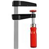 BESSEY LM30/5, l sergente vite (apertura 300 millimetri di profondità della gola 50 mm, ferroviario 15 x 5 mm), Multicolore