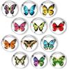 GEFIRE Diyixisk 12 Calamite 3D Farfalla Frigorifero Magnetini Resina Colorati con Ali in Rilievo per Frigo, Lavagna, Decorazione