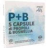 Kontak Propolair Ricarica P+b Diffusore 5 Capsule