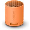 Sony Altoparlante portatile Sony SRSXB100D Bluetooth con Extra Bass