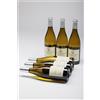 Bossi Fedrigotti PIAN DEL GRISO 2025 | Pinot Grigio Valdadige DOC | 6 BOTTIGLIE