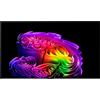 Lg Tv Lg OLED55G64LW API SERIE G6 evo AI Dark satin silver