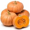 Generico Semi di Zucca Quintale Cucurbita Maxima da Seminare | Semi per Orto e Giardino | Varietà di Zucca Gigante da Coltivazione | Ideali per Semina Primaverile, Ortaggio Decorativo e Agricolo