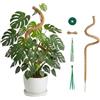 Sueynoptrix Supporto per piante in fibra di cocco pieghevole, supporto per piante | Bastone Per Piante Rampicanti, Moss Pole, Supporto Piante Rampicanti, Tutore Per Piante In Fibra Di Cocco