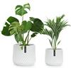 Fox & Fern Vaso per piante, grandi vasi per interni ed esterni, resistente ai raggi UV e al gelo, con tappo di drenaggio, in polystone, grandi vasi per piante e fiori, vaso per piante da interno, set