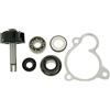 Vicma Water Pump Repair Kit For Majesty, X MAX, X-City, VERSITY 250