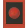 Steidl Retinal Shift