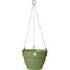 elho vibia campana hanging basket 26cm vaso da fiori - Moss Green | Ø 26 x Alt. 18.4 cm | Adatto per uso esterno