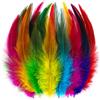 Holmgrem 200 piume colorate, 13-18 cm, per fai da te, decorazioni per feste fai da te
