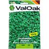 Valoak Semi Dichondra Repens per Prato 100 g | Prato decorativo, fogliame verde e morbido, adatta a zone ombreggiate, tolleranza al caldo, copertura del terreno