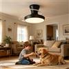 Maxled, Light is Led! Ventilatore Soffitto Illuminazione LED 20W 3CCT 6500K/4500K/3500K 1750LM Dimmerabile 10%-100% 3 Pale 6 Velocità Timer Silenzioso per Soggiorno E Camera Letto Nero