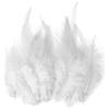 OAOSDH 200 Piume Bianche, Accessori per Abbigliamento, Materiali Artigianali Fai -da -Te, Forniture per La Decorazione per La Casa, Accessori.