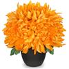 Hollyone Fiori artificiali di crisantemo in vaso, 25 cm, crisantemi finti in seta arancione, ragno finto con vaso nero per decorazione domestica, soggiorno, kichen, sala da pranzo, tavolo, scrivania