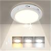 AMFUN Plafoniera LED Soffitto, Plafoniera con Sensore di Movimento, lampada soffito per Corridoio, Cucina, Soggiorno, Ufficio, Garage, Cantina, Balcone (Ø19CM, 1 Pezzi)