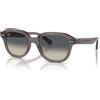 Ray-Ban Erik RB 4398 (667571)