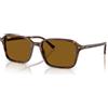 Ray-Ban Raimond RB 2231 (141833)