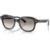 Ray-Ban Erik RB 4398 (140432)