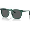 Ray-Ban RB 2210 (6615B1)