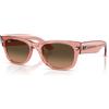 Ray-Ban Mega Wayfarer II RB 0832S (684843)