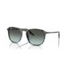 Ray-Ban RB 2203 (1391GK)