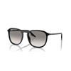Ray-Ban RB 2203 (901/32)