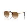Ray-Ban New Round RB 3637 (001/51)