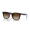 Ray-Ban RB 4420 (710/13)
