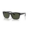 Ray-Ban RB 4428 (601/31)