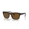 Ray-Ban RB 4428 (894/57)