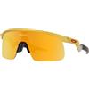 Oakley Resistor OJ 9010 (901008)