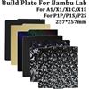 Sirol Piastra di stampa in carbonio A1 PEI testurizzata a doppia faccia PEO PET per Bambu Lab P2S X1 P1S P1P X1C