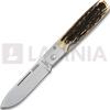 Fällkniven Gentlemans Pocket Knife - Lam. CoS - Stag
