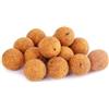 Generico Bolies Scopex Pesca Carpfishing Carpa Amur Innesco Pastura Boiles 20mm